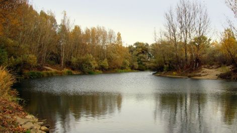 84551577.jpg