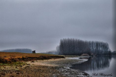 dsc_0004.jpg