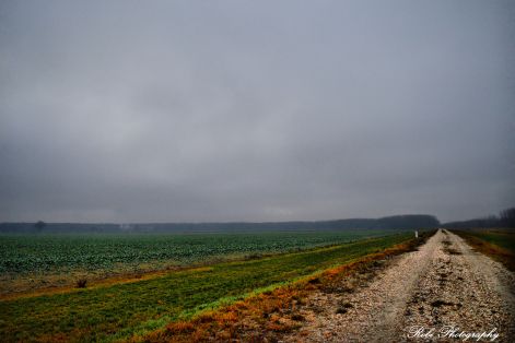 dsc_0019.jpg