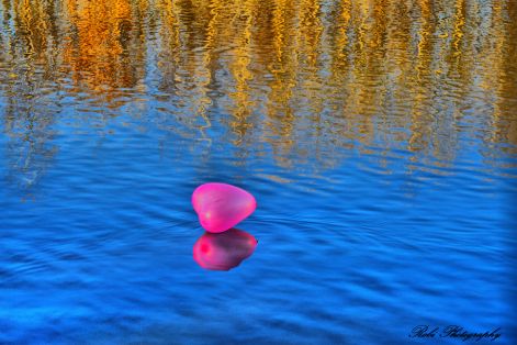 dsc_0021.jpg