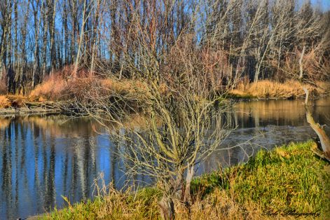dsc_0030.jpg