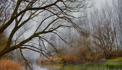 dsc_0042.jpg