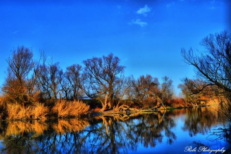 dsc_0049.jpg