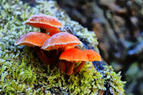 dsc_0054.jpg