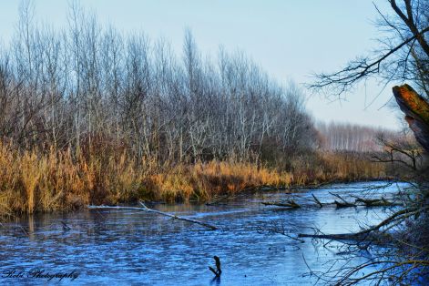 dsc_0056.jpg