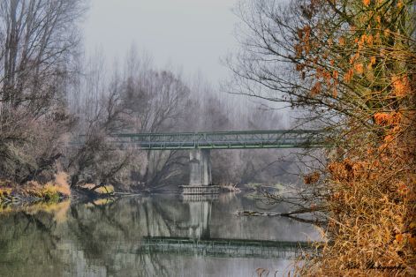 dsc_0064.jpg