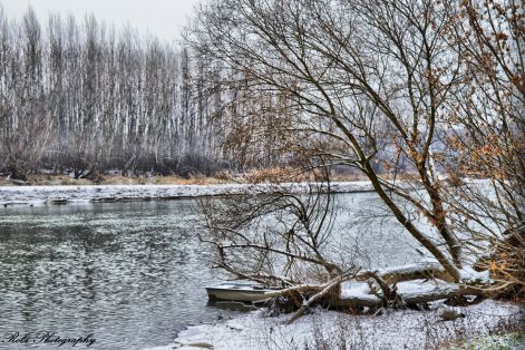 dsc_0071.jpg