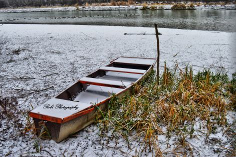 dsc_0119.jpg
